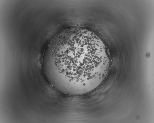 X0000102501202200808221746