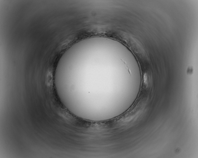 X0000102501203200808221746