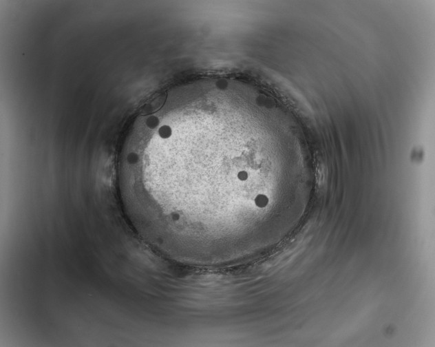 X0000102501204200808221746