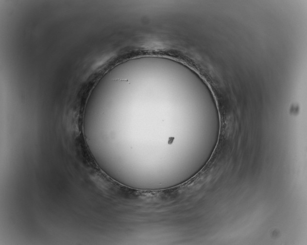 X0000102501205200808221746