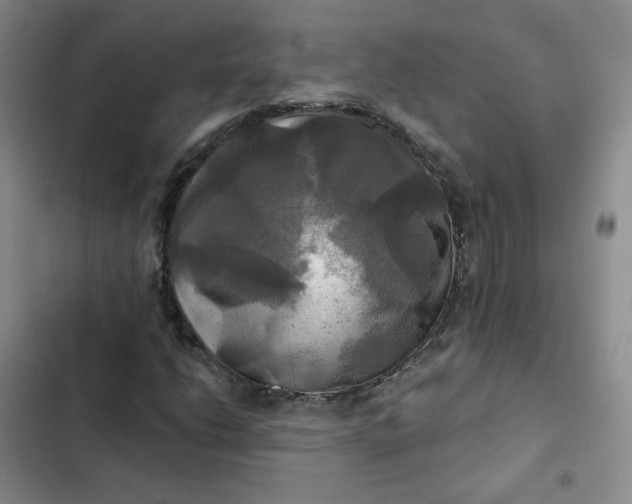 X0000102501206200808221746