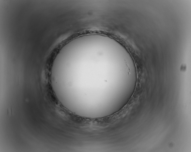 X0000102501207200808221746