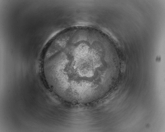 X0000102501208200808221746