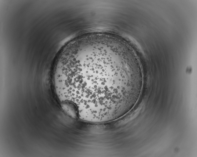 X0000102501210200808221746