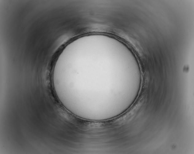 X0000102501211200808221746