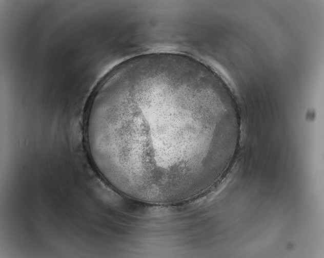 X0000102501212200808221746