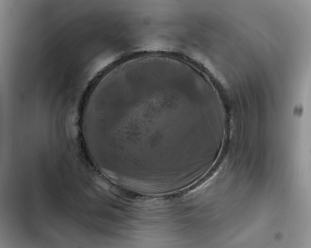 X0000102501213200808221746