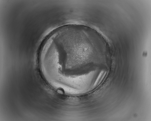 X0000102501215200808221746