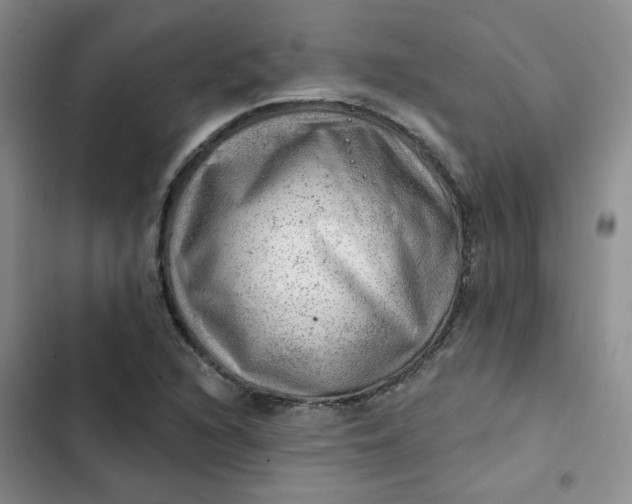 X0000102501216200808221746