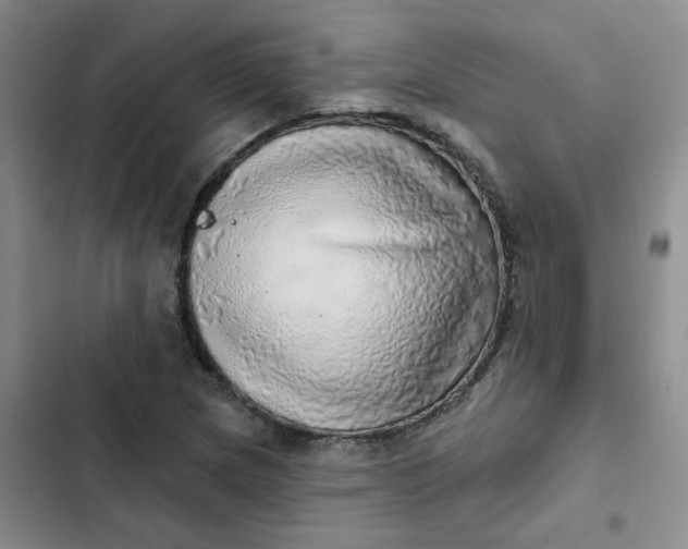 X0000102501217200808221746