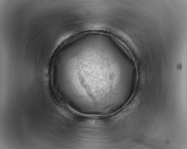 X0000102501218200808221746