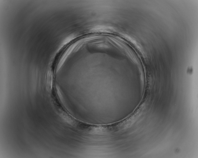 X0000102501219200808221746