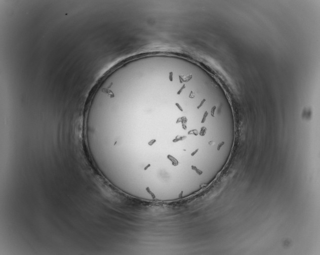 X0000102501220200808221746