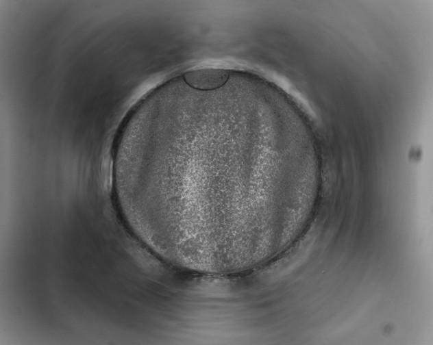 X0000102501221200808221746