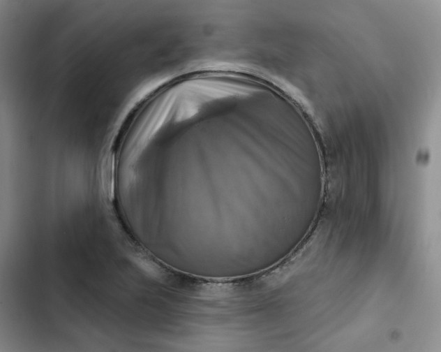 X0000102501223200808221746