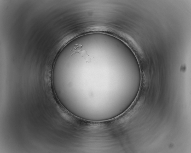 X0000102501225200808221746