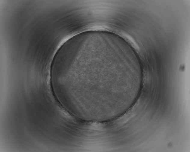 X0000102501226200808221746