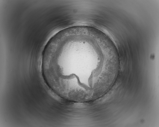 X0000102501227200808221746