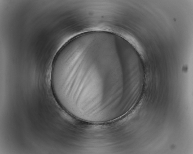 X0000102501228200808221746