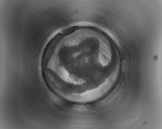 X0000102501229200808221746