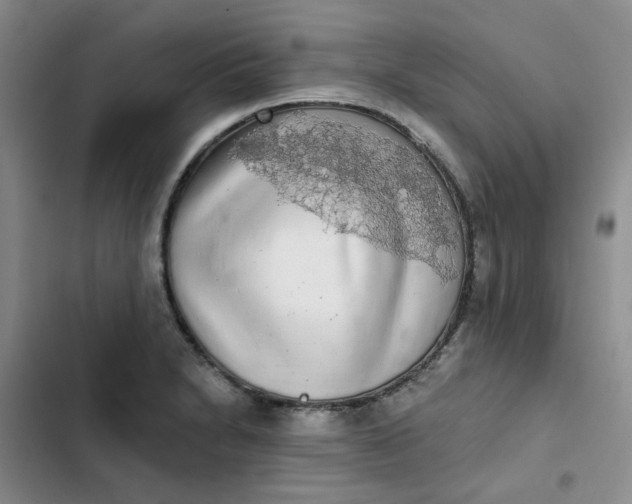 X0000102501230200808221746