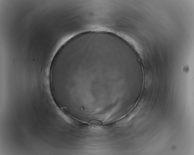 X0000102501231200808221746