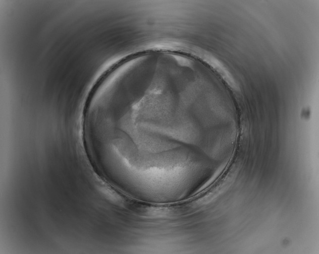 X0000102501232200808221746