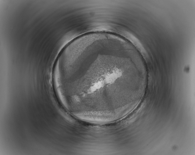 X0000102501234200808221746