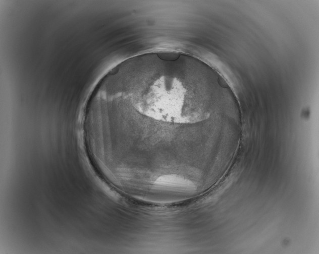 X0000102501235200808221746