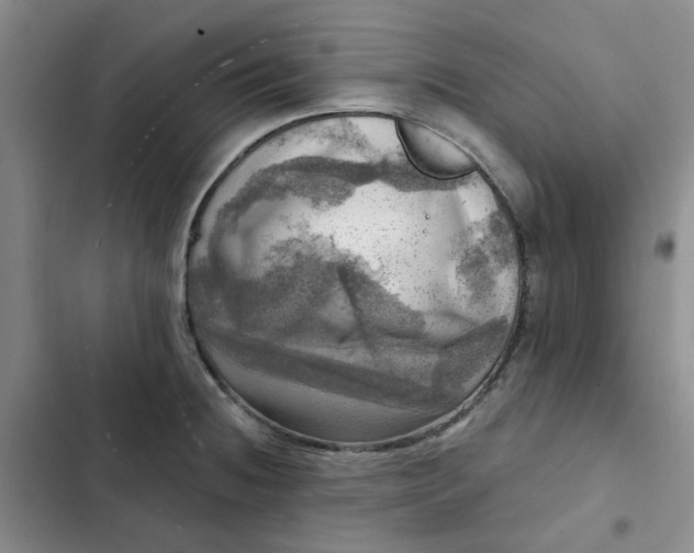 X0000102501236200808221746