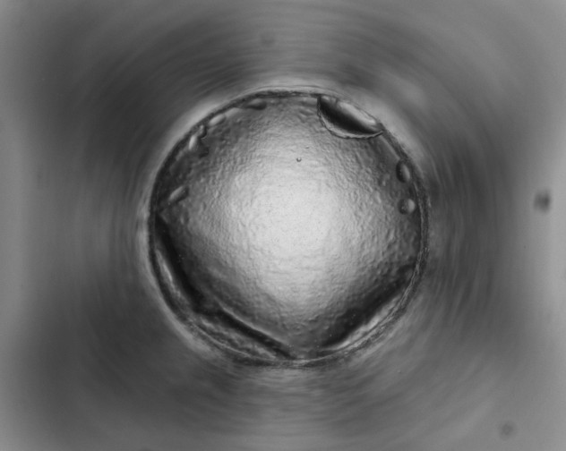 X0000102501237200808221746