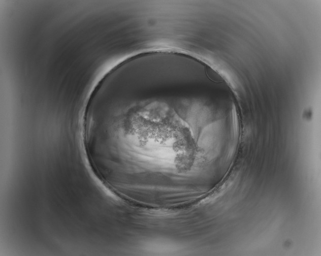 X0000102501239200808221746