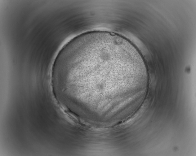 X0000102501240200808221746