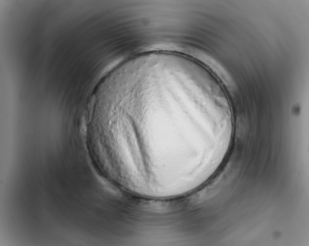 X0000102501241200808221746