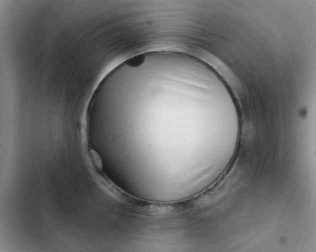 X0000102501242200808221746