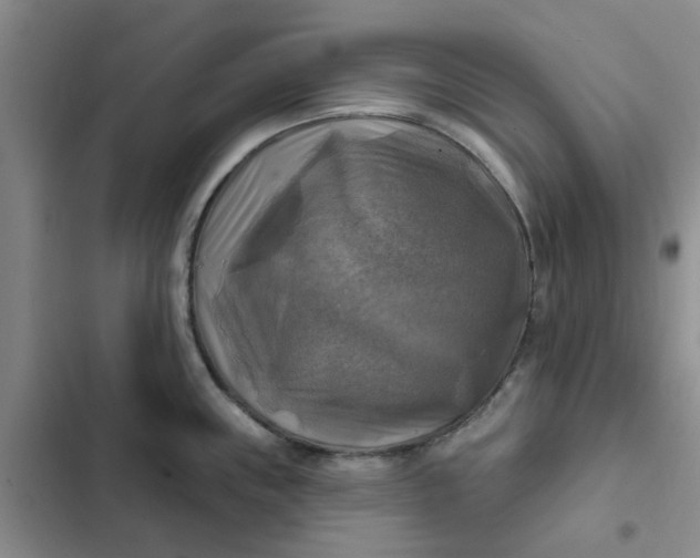 X0000102501243200808221746