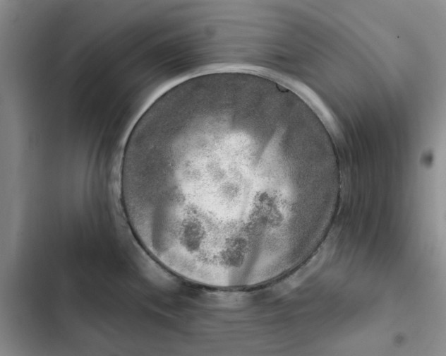 X0000102501244200808221746