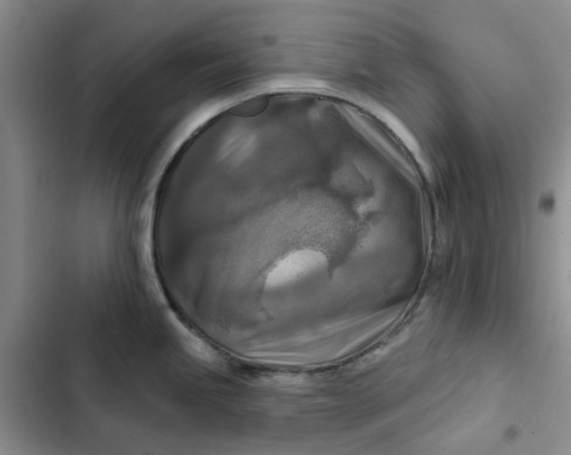 X0000102501245200808221746