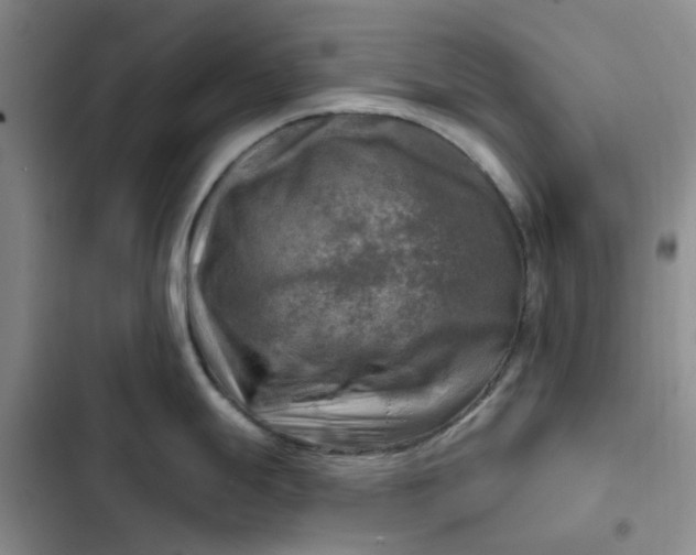 X0000102501247200808221746