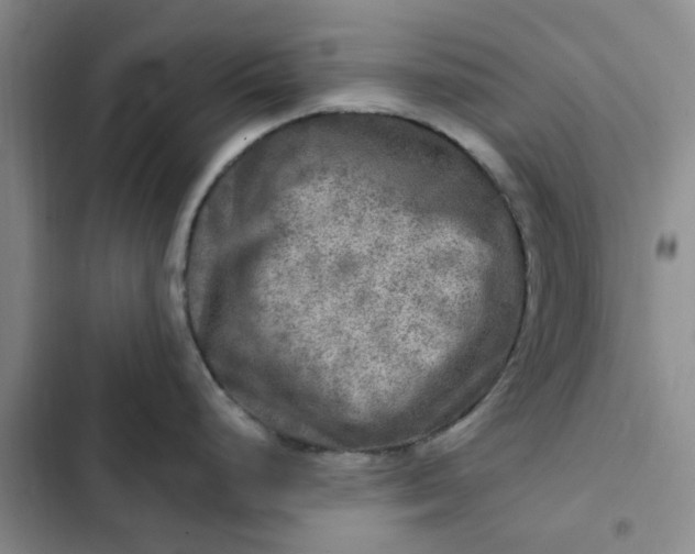 X0000102501248200808221746