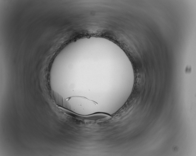 X0000102501249200808221746