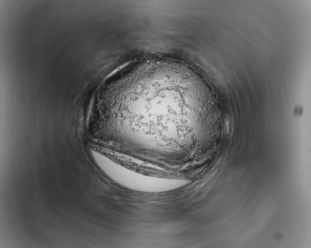 X0000102501251200808221746