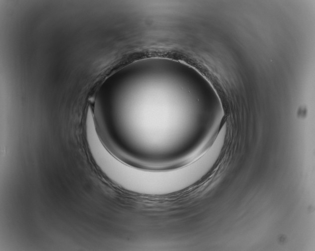 X0000102501252200808221746