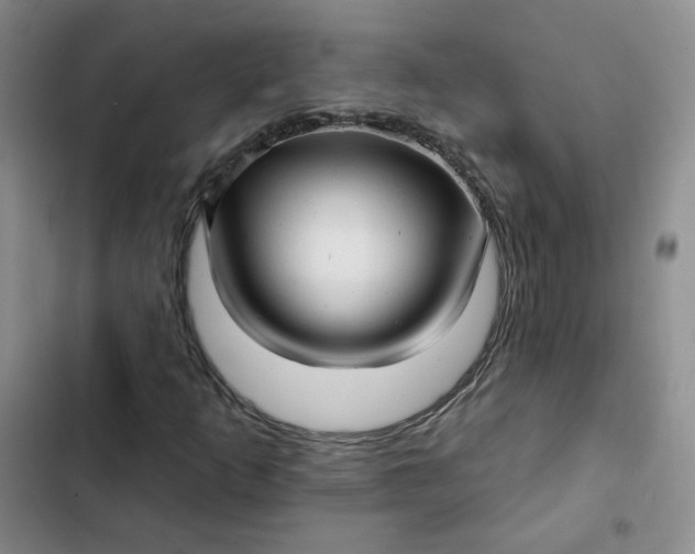 X0000102501253200808221746