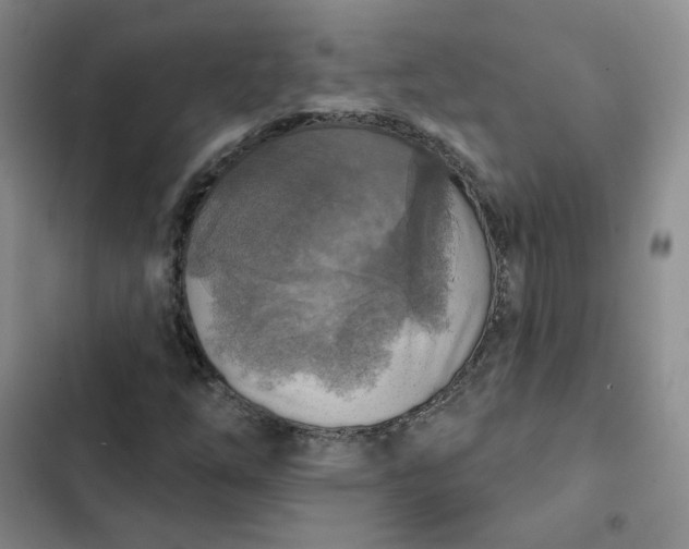 X0000102501254200808221746