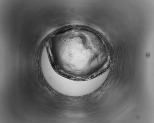 X0000102501255200808221746