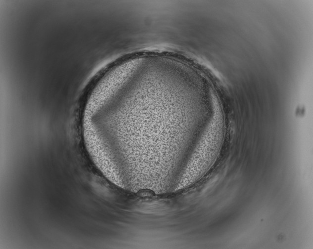 X0000102501256200808221746