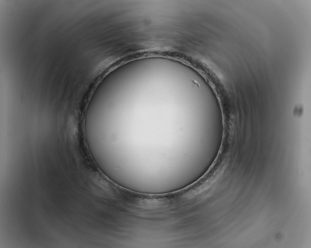 X0000102501257200808221745