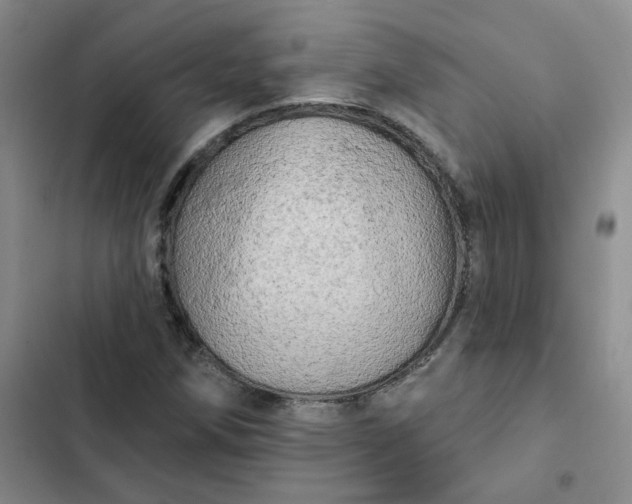 X0000102501258200808221745