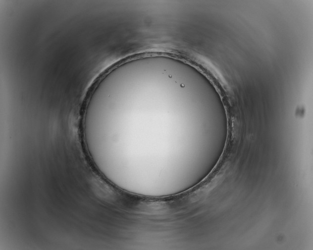 X0000102501260200808221745